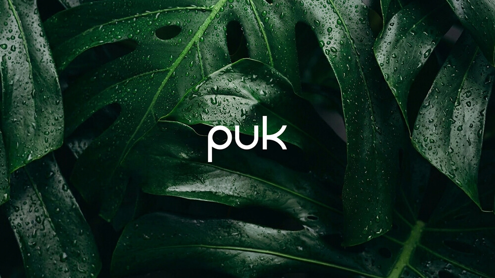 Lo sfondo è ricoperto da grandi foglie verdi di monstera con goccioline d'acqua. Sopra le foglie, al centro, è riportata la parola "puk" in lettere minuscole bianche.