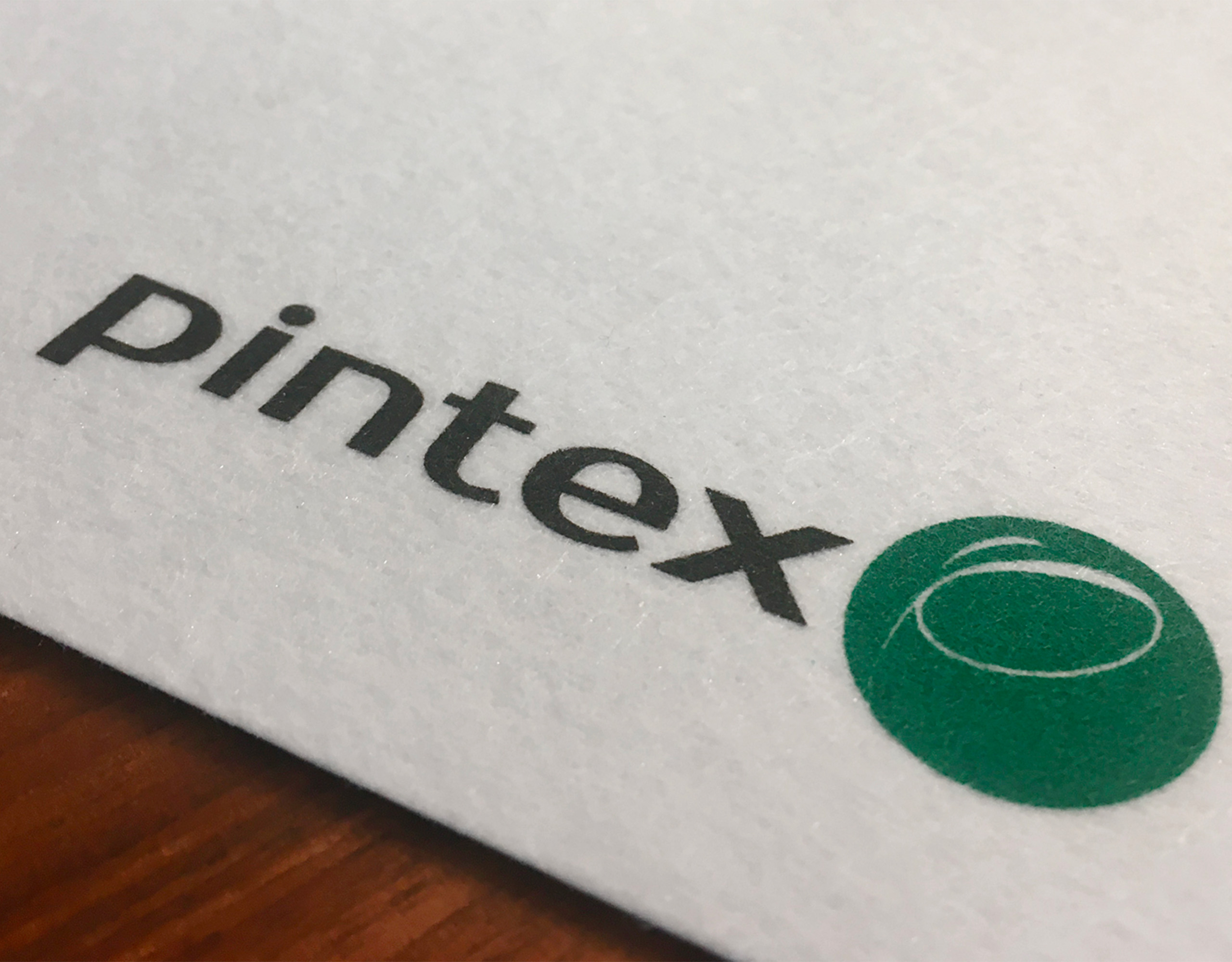 logo azienda pintex