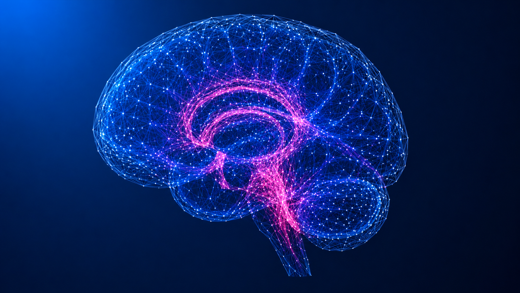 Illustrazione digitale di un cervello umano formato da linee e punti luminosi blu e rosa interconnessi su uno sfondo blu scuro, che mettono in risalto i percorsi neurali.